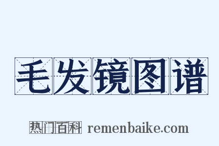 毛发镜图谱是什么意思的图片